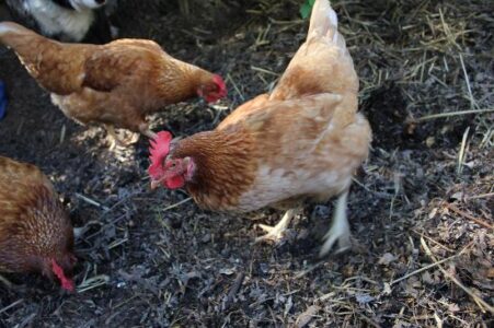 We Love Eu-Bacteria! Image